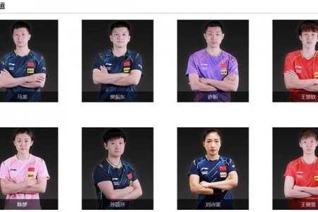 乒乓球国家队员名单 - 中国家队名单